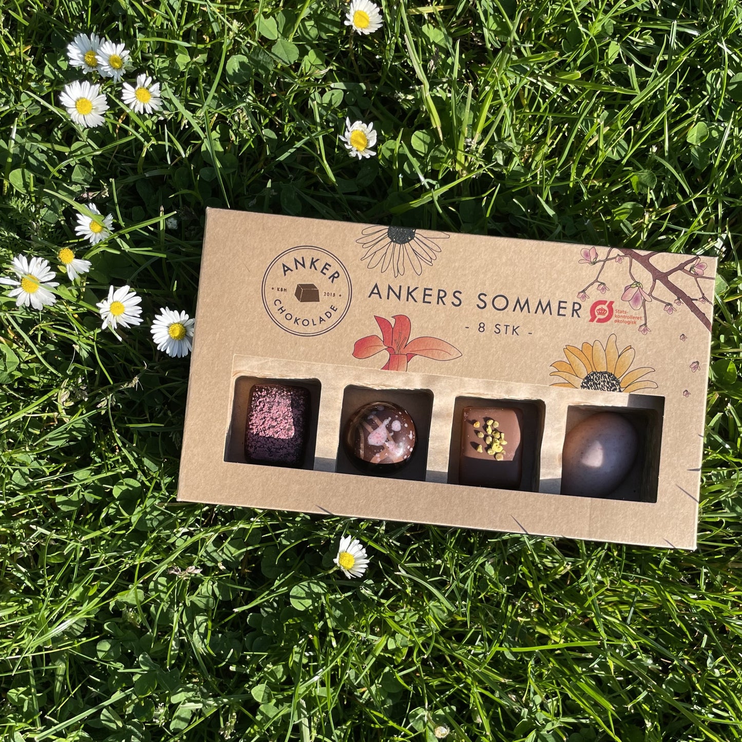 Ankers Sommer - DK-ØKO-100
